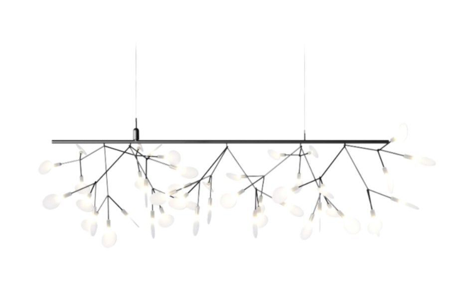 heracleum.jpg