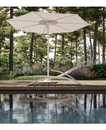 Palma Parasol